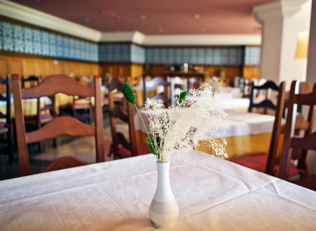 Hotel Apartamentos Trevenque سْييرا نيفادا المظهر الخارجي الصورة